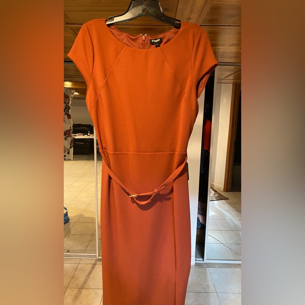 Express burnt orange midi dress with belt - brand new